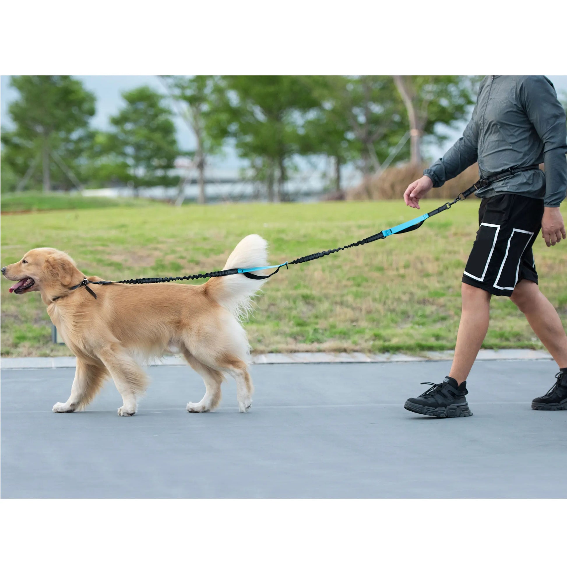 Iyoshop Hands-Free Dog Leash with Zipper Pouch, Dual Padded Handles, and Durable Bungee for Walking, Jogging, and Running