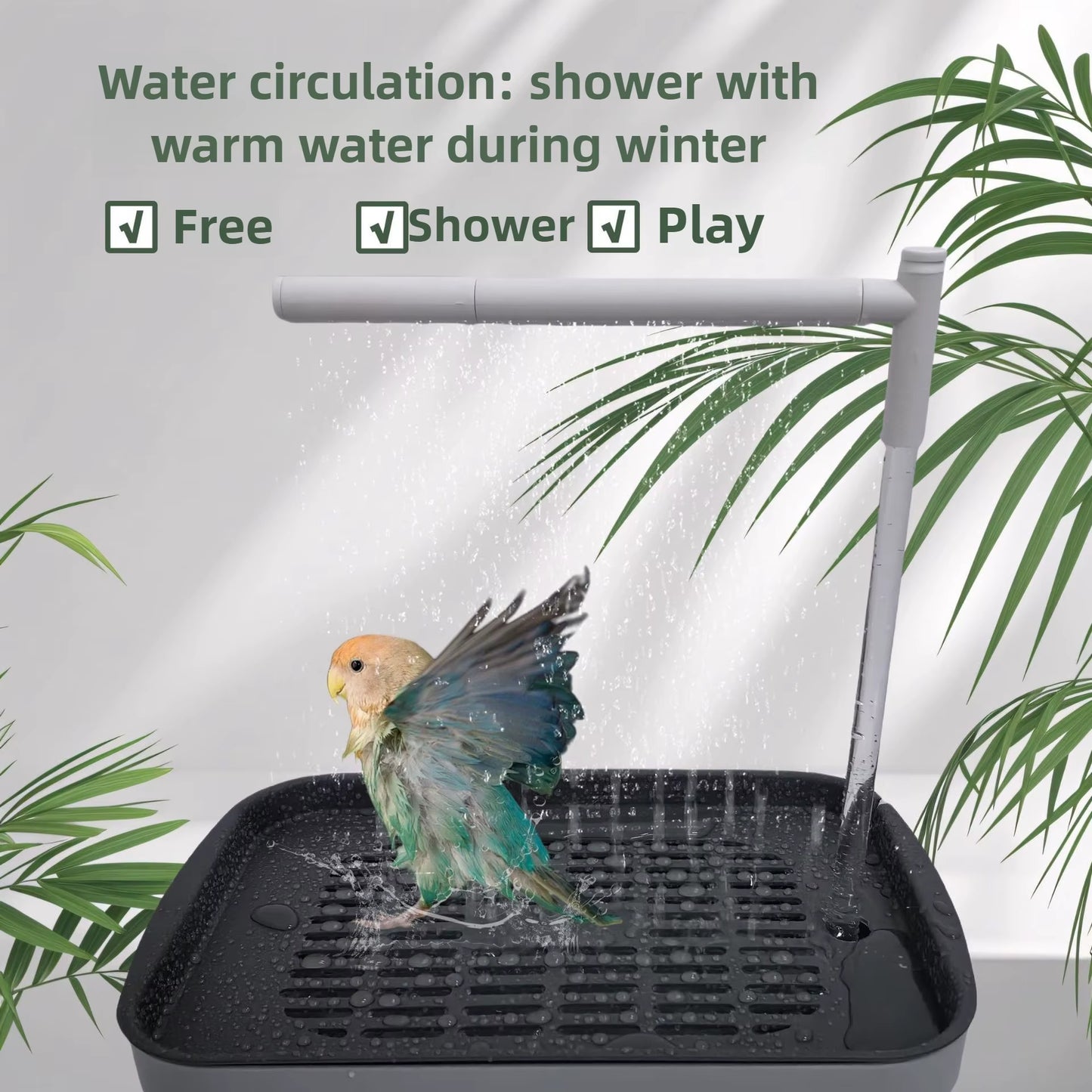 Automatic Bird Bath Basin for Daily Health and Hygiene of Parrots