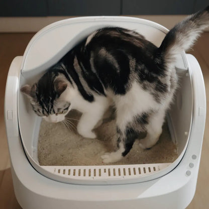 Petpivot Autoscooper 11 Open-Top Self-Cleaning Cat Litter Box with Odor-Free Waste Disposal and Included Trash Bags