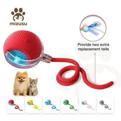 Mizusu Interactive Teaser Toy for Cats and Dogs with Dual Tails and Rolling Ball, Ideal for Kittens - Pet Supplies and Accessories