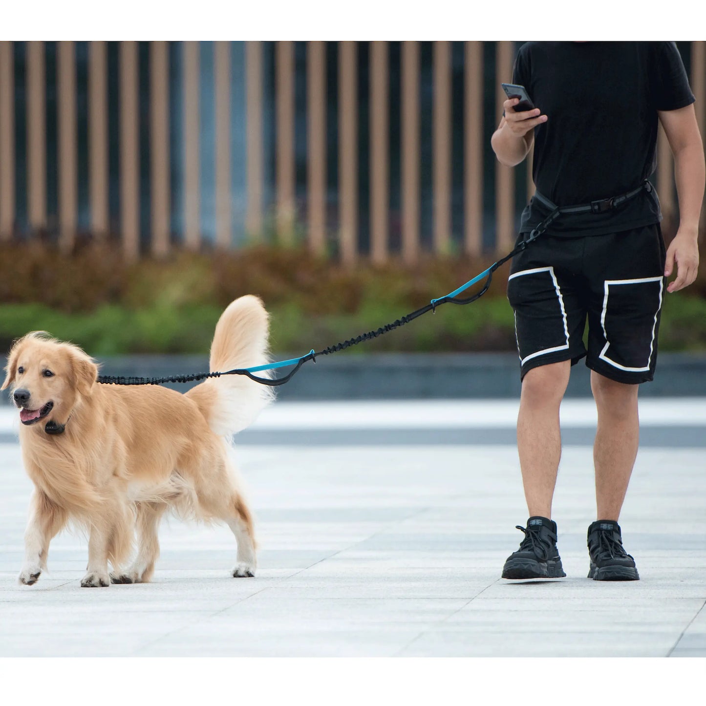 Iyoshop Hands-Free Dog Leash with Zipper Pouch, Dual Padded Handles, and Durable Bungee for Walking, Jogging, and Running
