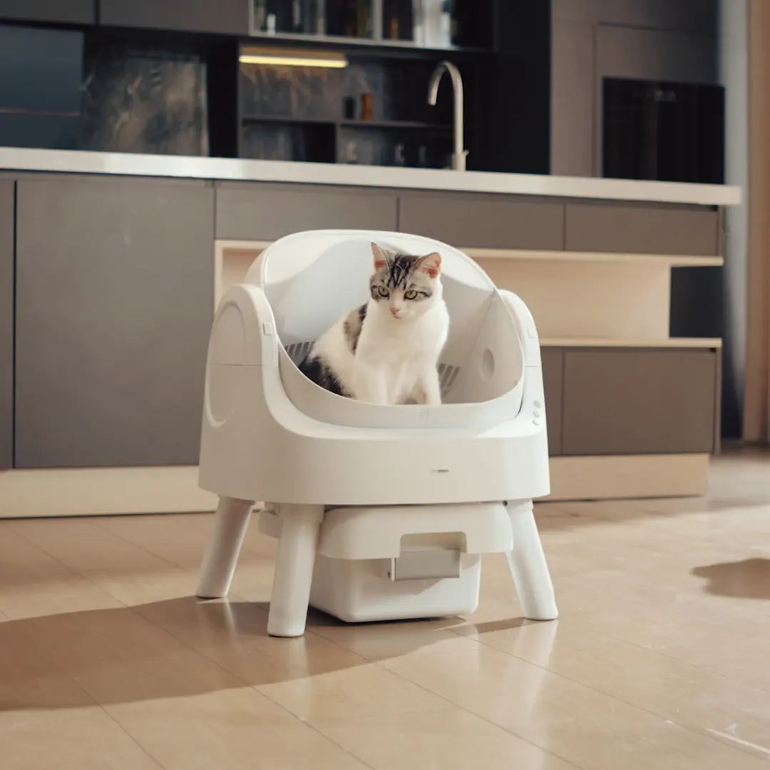 Petpivot Autoscooper 11 Open-Top Self-Cleaning Cat Litter Box with Odor-Free Waste Disposal and Included Trash Bags