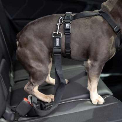 Pet Seat Belt Tether (Black) Compatible with Standard Automobile Buckles