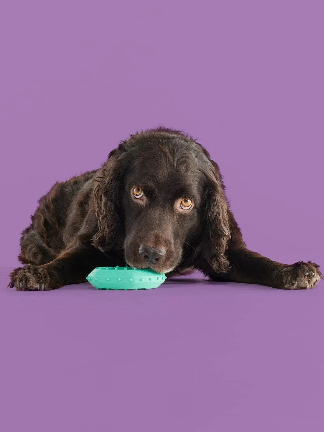 Yomp Chillchew Freezable Dog Toy - Cooling Chew Toy for Soft and Medium Chewers, Perfect for Frozen Treats and Teething, Made from Pet-Safe Non-Toxic Silicone