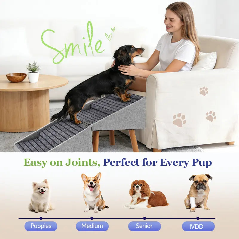 17-Inch Wooden Dog Stairs Ramp for Couch | Ziluce Convertible Ottoman Ramp for Sofa or Short Bed | Ideal for Senior, Small, and Medium Dogs, Including Dachshunds | 2-In-1 Home Step Stool with Wooden Base
