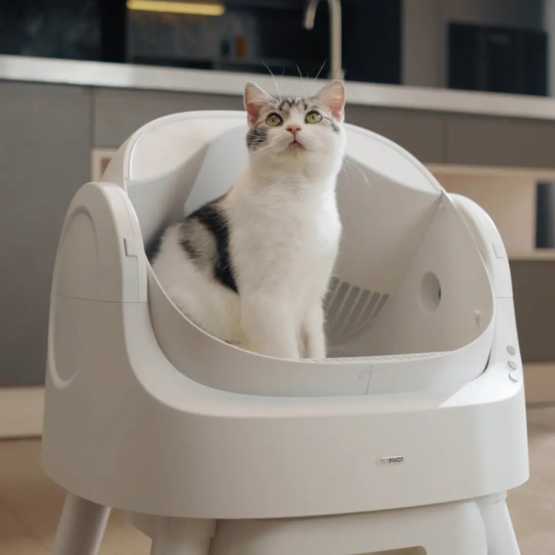 Petpivot Autoscooper 11 Open-Top Self-Cleaning Cat Litter Box with Odor-Free Waste Disposal and Included Trash Bags