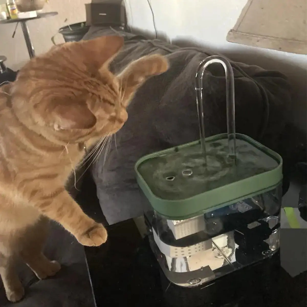 Automatic USB Pet Water Fountain - Silent Drinking Water Dispenser for Cats and Dogs