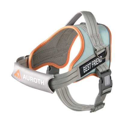 Auroth No-Pull Dog Harness with Safety Straps – Soft Padded Service Vest, Reflective and Adjustable, Easy On & Off – Perfect for Walking and Training, Suitable for Small, Medium, and Large Dogs