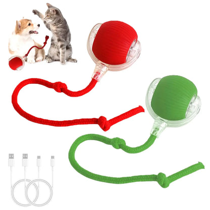 Automated Interactive Cat Toy Ball: Motion-Sensing Electric Ball for Indoor Cats and Dogs, Enhancing Playtime and Physical Activity. Ideal Pet Gift and Accessory.