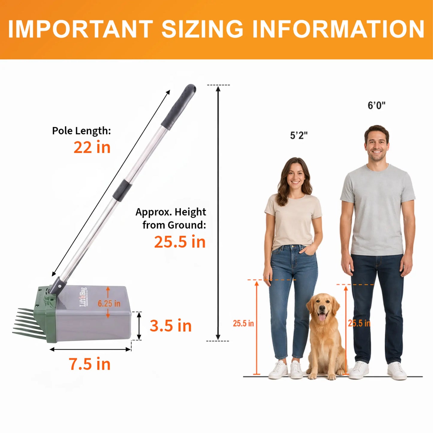 Neater Pets Lift N' Bag Dog Pooper Scooper 2.0 - 22-Inch Pole with Scoop-To-Bag Design, One-Handed Operation, Extra-Large Bags, Made in the USA