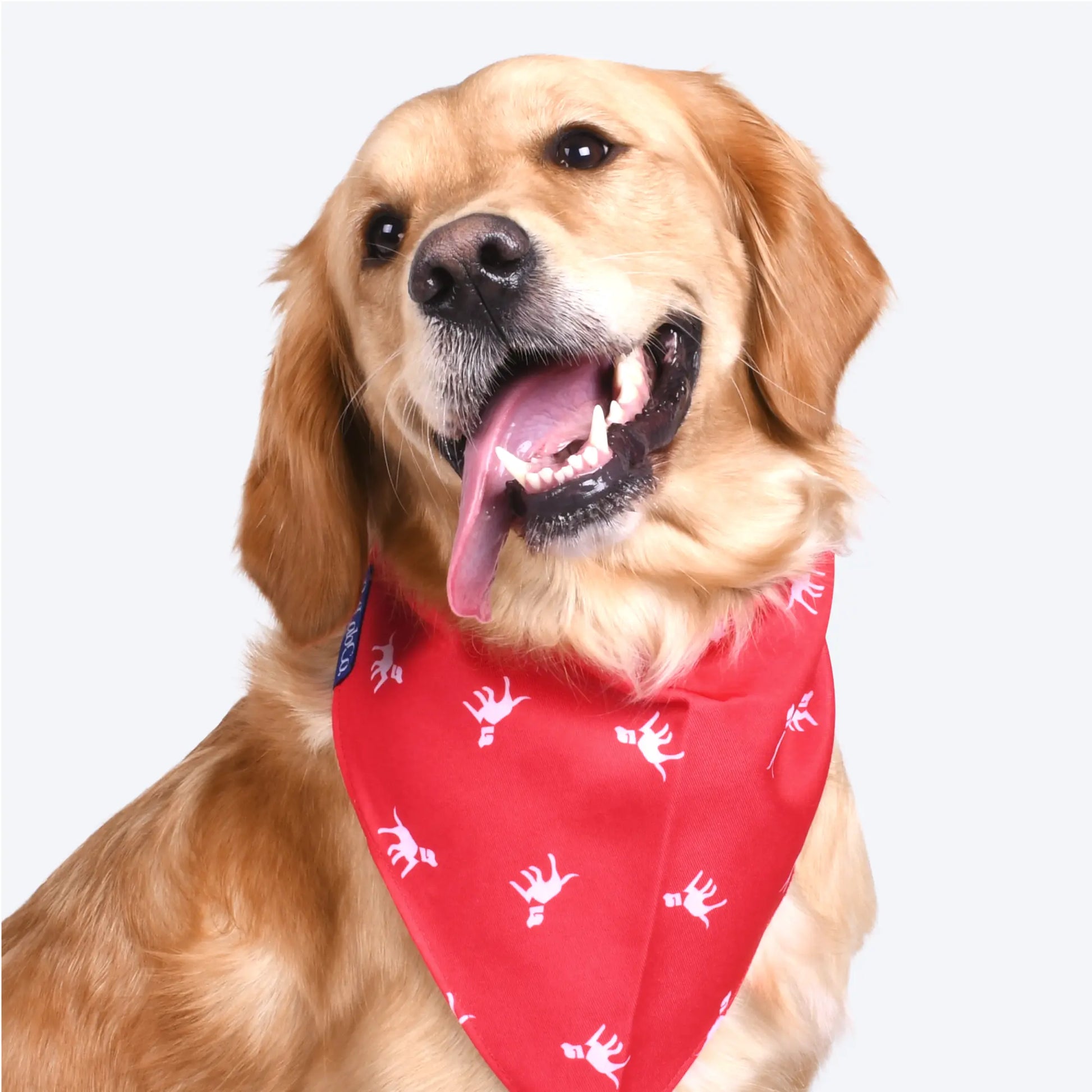 Petlab Co. Dog Bandana - Elegant and Comfortable Washable Accessory for Pets
