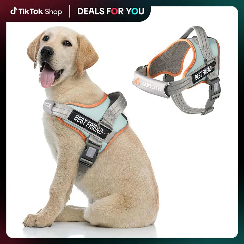 Auroth No-Pull Dog Harness with Safety Straps – Soft Padded Service Vest, Reflective and Adjustable, Easy On & Off – Perfect for Walking and Training, Suitable for Small, Medium, and Large Dogs