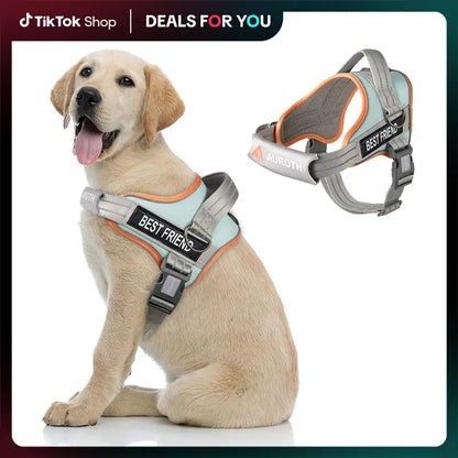 Auroth No-Pull Dog Harness with Safety Straps – Soft Padded Service Vest, Reflective and Adjustable, Easy On & Off – Perfect for Walking and Training, Suitable for Small, Medium, and Large Dogs