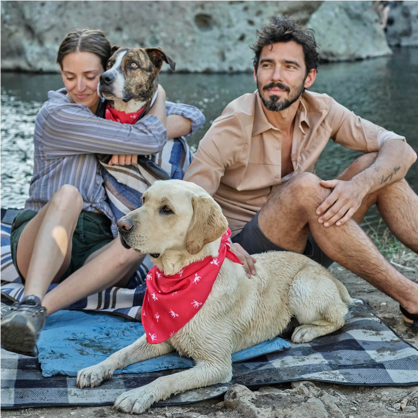 Petlab Co. Dog Bandana - Elegant and Comfortable Washable Accessory for Pets