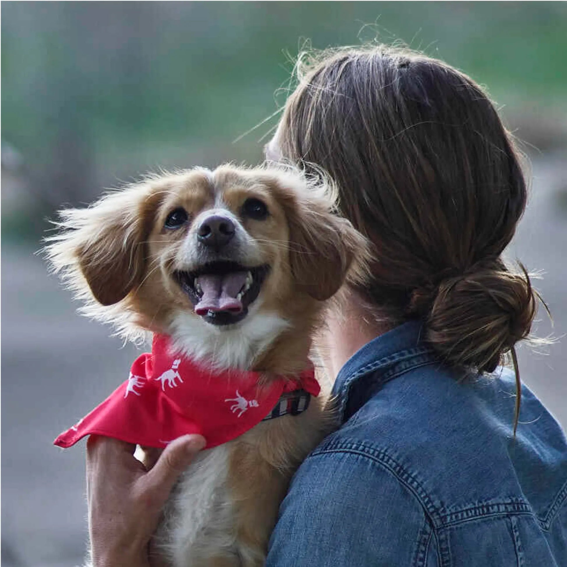 Petlab Co. Dog Bandana - Elegant and Comfortable Washable Accessory for Pets