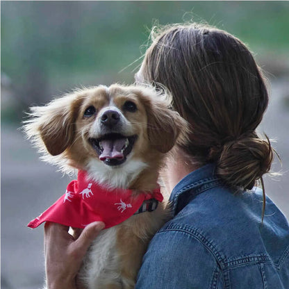 Petlab Co. Dog Bandana - Elegant and Comfortable Washable Accessory for Pets