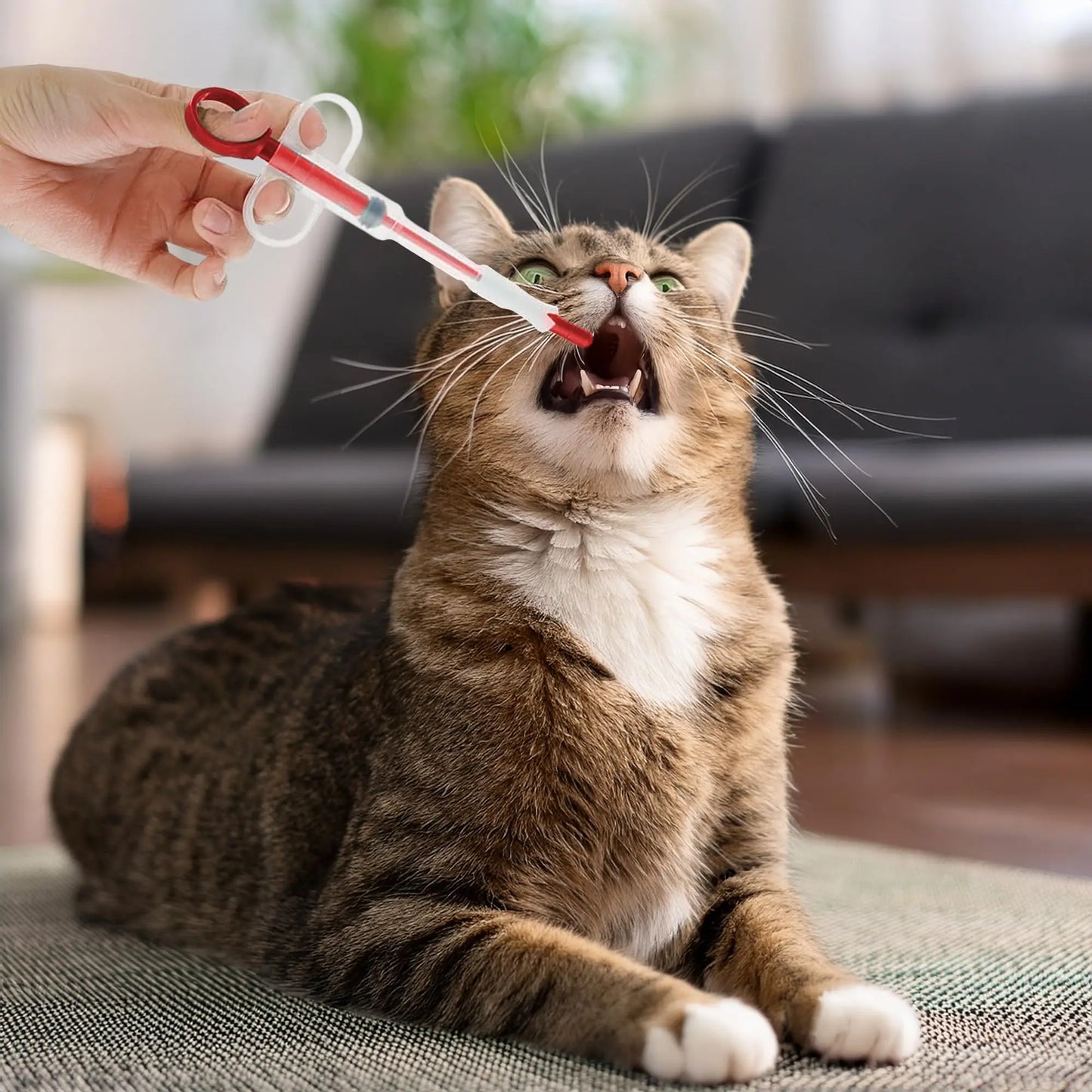 Pet Pill Plunger Dispenser Set for Small Cats and Dogs - Soft Tip Tablet Syringe Pusher in Green, Red, and Blue