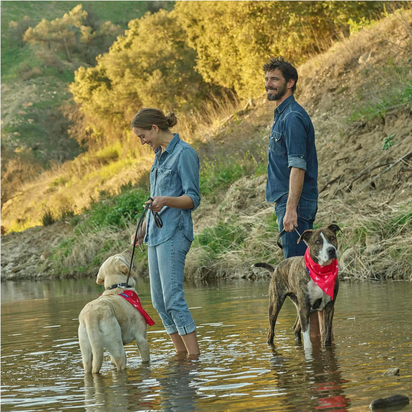 Petlab Co. Dog Bandana - Elegant and Comfortable Washable Accessory for Pets