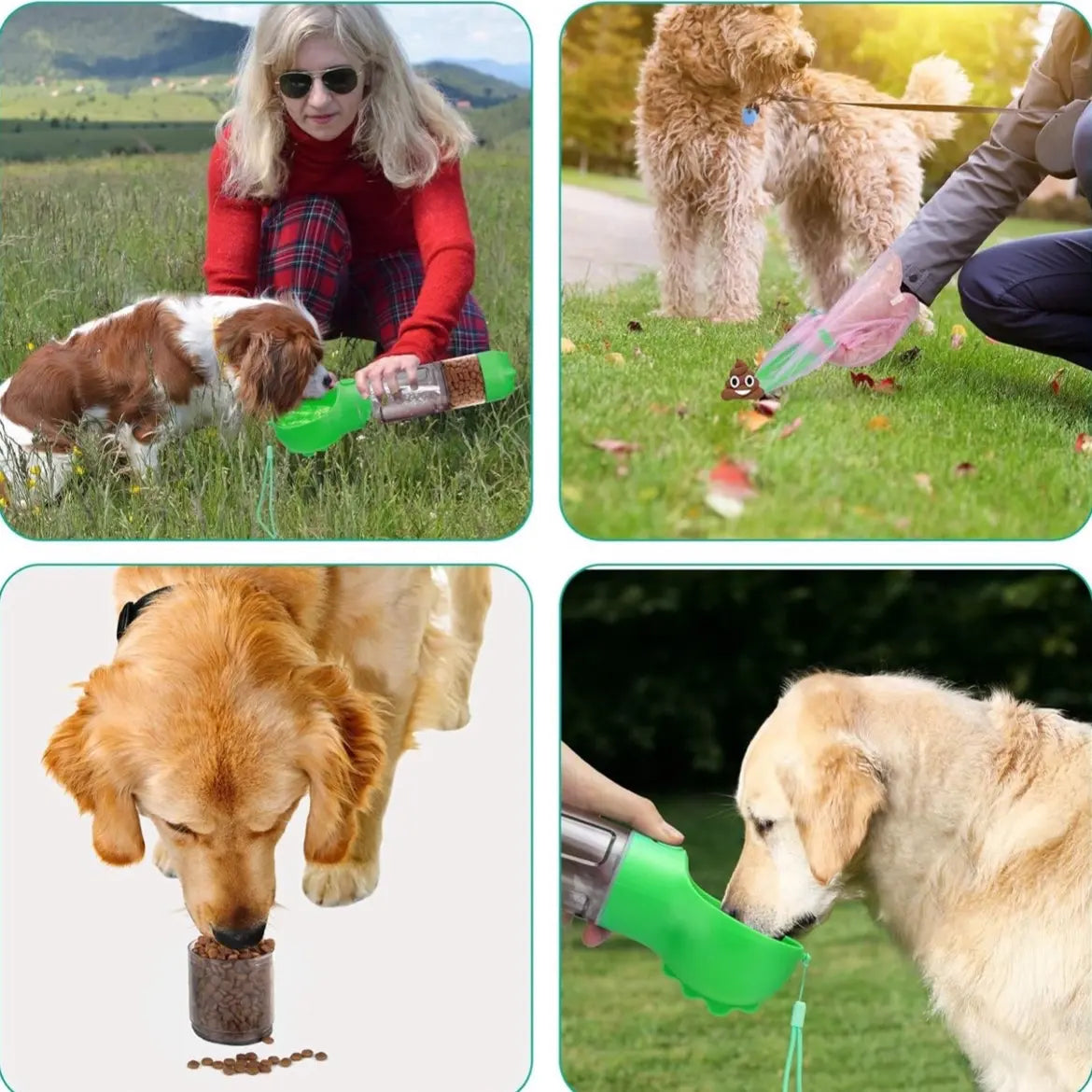 Multi-Functional Pet Water Bottle and Cat It Vision Smart Feeder