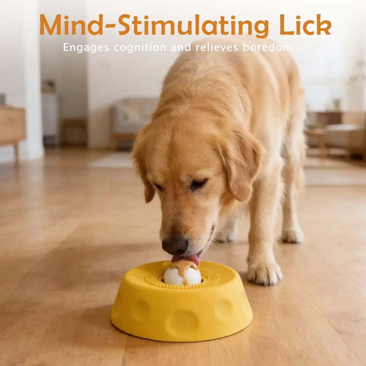 Pawpace Versatile Dog Bowl: Slow Feeder with Lick Ball, Oral Hygiene Features, 8 Suction Cups, and Mess-Free Liquid Treat Enrichment for Pet Lovers