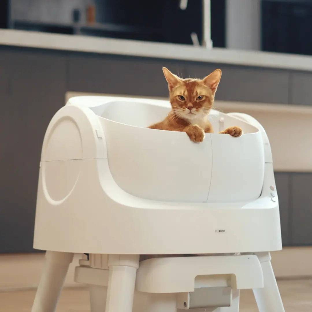 Petpivot Autoscooper 11 Open-Top Self-Cleaning Cat Litter Box with Odor-Free Waste Disposal and Included Trash Bags
