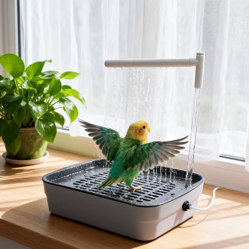 Automatic Bird Bath Basin for Daily Health and Hygiene of Parrots