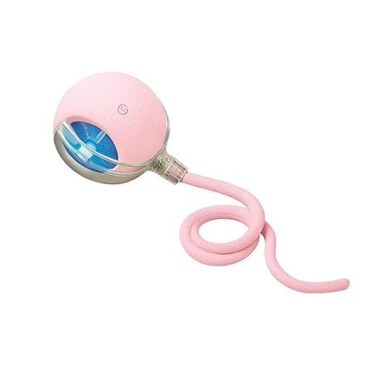 Mizusu Interactive Teaser Toy for Cats and Dogs with Dual Tails and Rolling Ball, Ideal for Kittens - Pet Supplies and Accessories