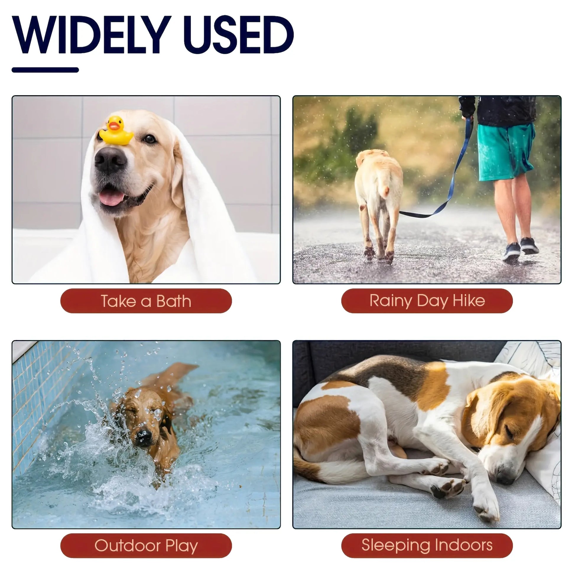Quick-Drying Embroidered Terry Dog Bathrobe with Adjustable Belly Band - Super-Absorbent and Soft Fabric