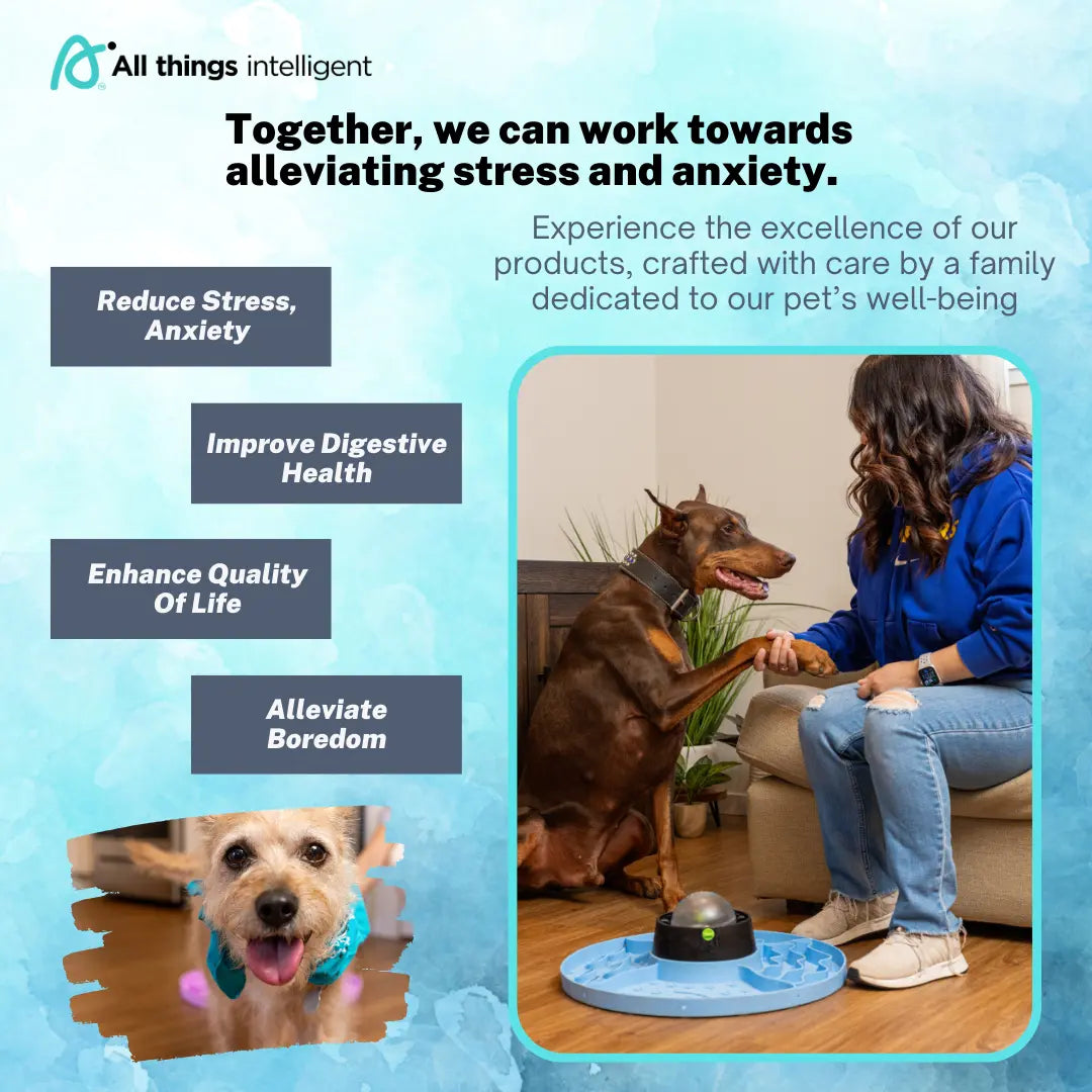 Multifunctional 8-in-1 Interactive Slow Feeder Snuffle Mat for Dogs and Cats