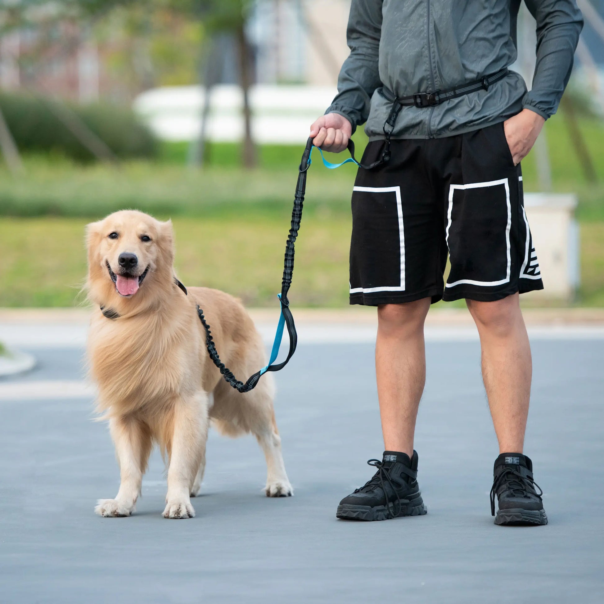 Iyoshop Hands-Free Dog Leash with Zipper Pouch, Dual Padded Handles, and Durable Bungee for Walking, Jogging, and Running