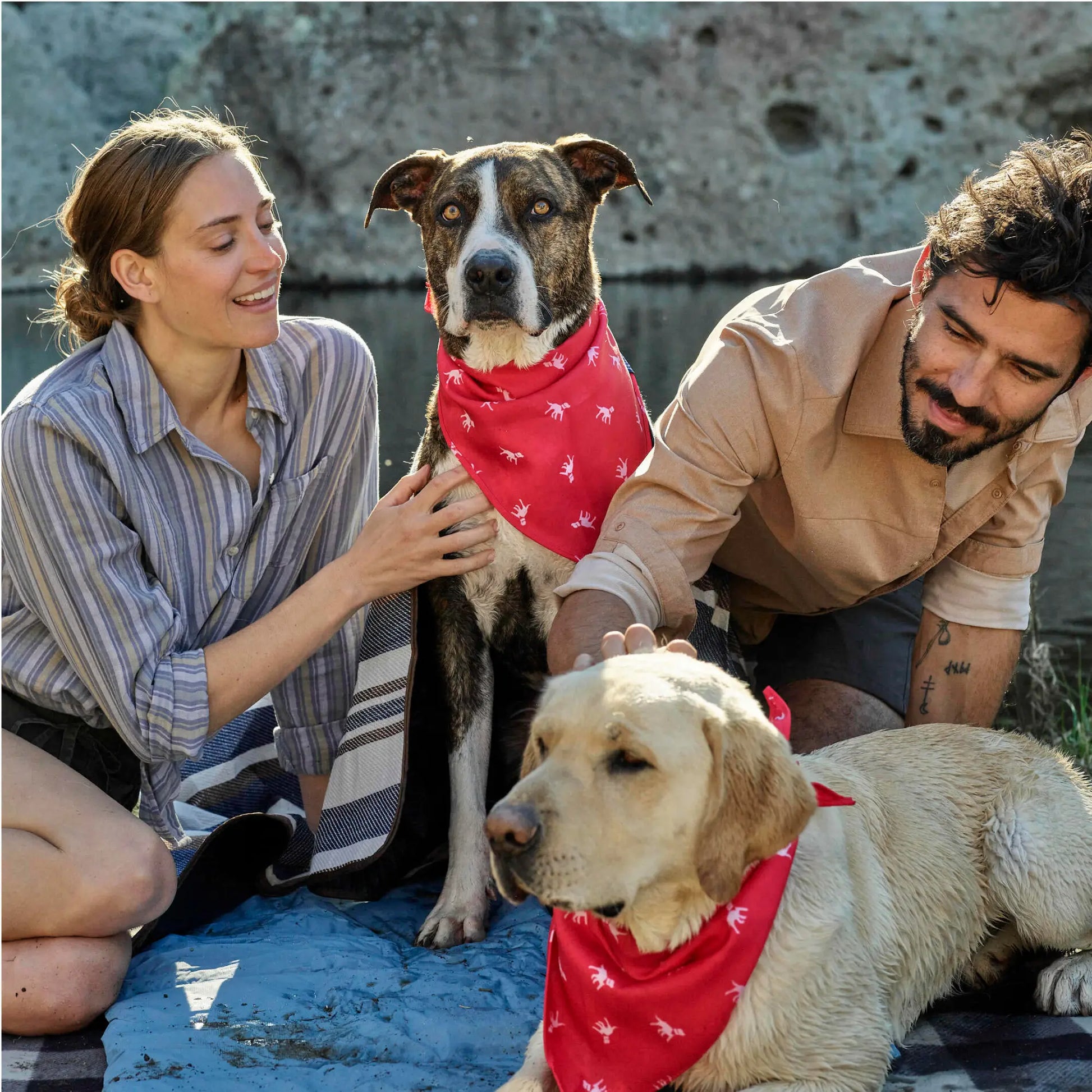 Petlab Co. Dog Bandana - Elegant and Comfortable Washable Accessory for Pets