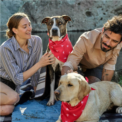 Petlab Co. Dog Bandana - Elegant and Comfortable Washable Accessory for Pets