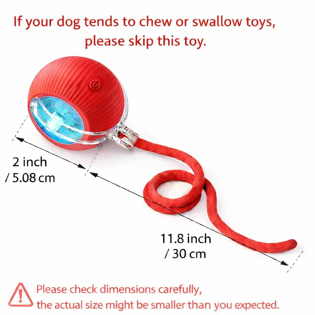 Mizusu Interactive Teaser Toy for Cats and Dogs with Dual Tails and Rolling Ball, Ideal for Kittens - Pet Supplies and Accessories
