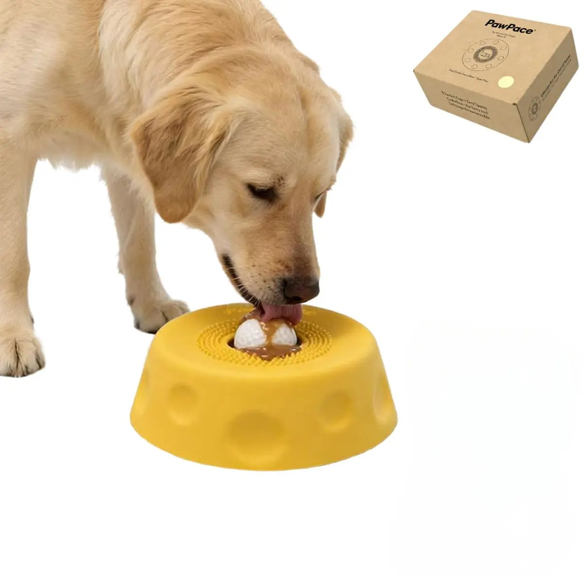 Pawpace Versatile Dog Bowl: Slow Feeder with Lick Ball, Oral Hygiene Features, 8 Suction Cups, and Mess-Free Liquid Treat Enrichment for Pet Lovers