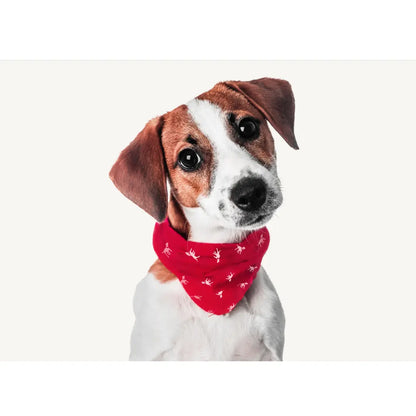 Petlab Co. Dog Bandana - Elegant and Comfortable Washable Accessory for Pets