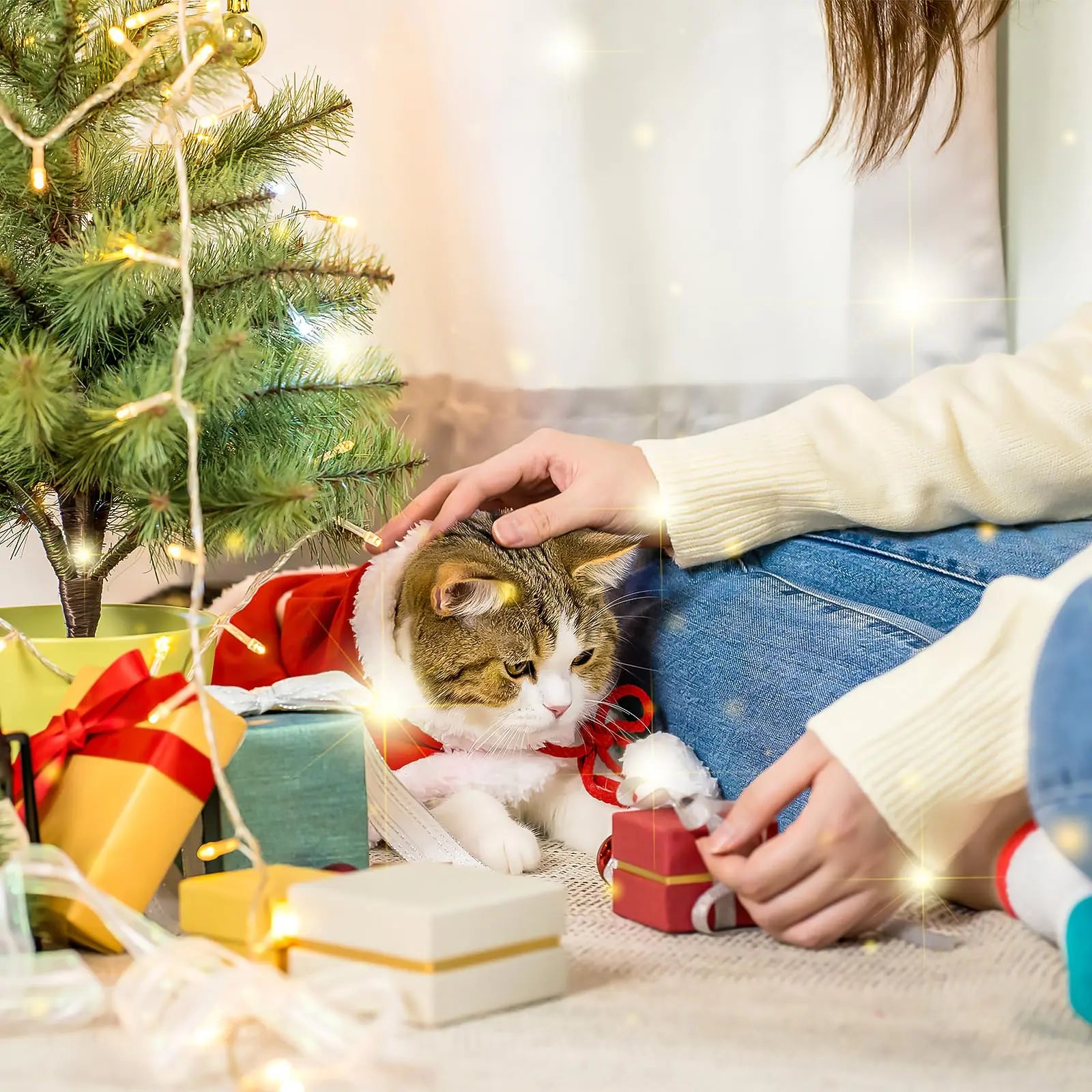 Interactive Cat Toy: Hide and Seek Game Mat with Automated Rolling Ball for Endless Indoor Fun