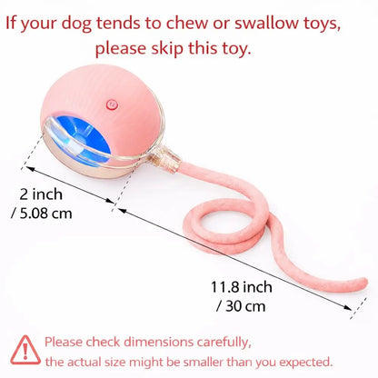 Mizusu Interactive Teaser Toy for Cats and Dogs with Dual Tails and Rolling Ball, Ideal for Kittens - Pet Supplies and Accessories