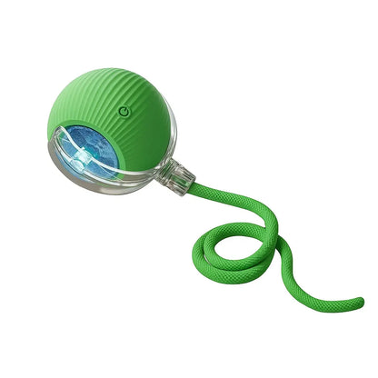 Mizusu Interactive Teaser Toy for Cats and Dogs with Dual Tails and Rolling Ball, Ideal for Kittens - Pet Supplies and Accessories