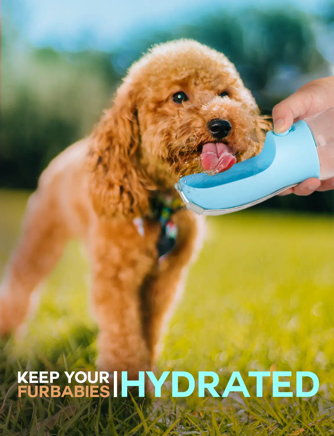 3-in-1 Portable Pet Water Bottle - 20oz Leak-Proof Container with Integrated Poop Bag Dispenser, Perfect for Travel, Hiking, and Outdoor Activities